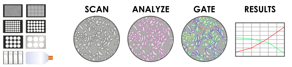 Anwendungsablauf Imaging Cytometer. Bildgebender Zytometrie, Zellzählung, Zelluläre Assays